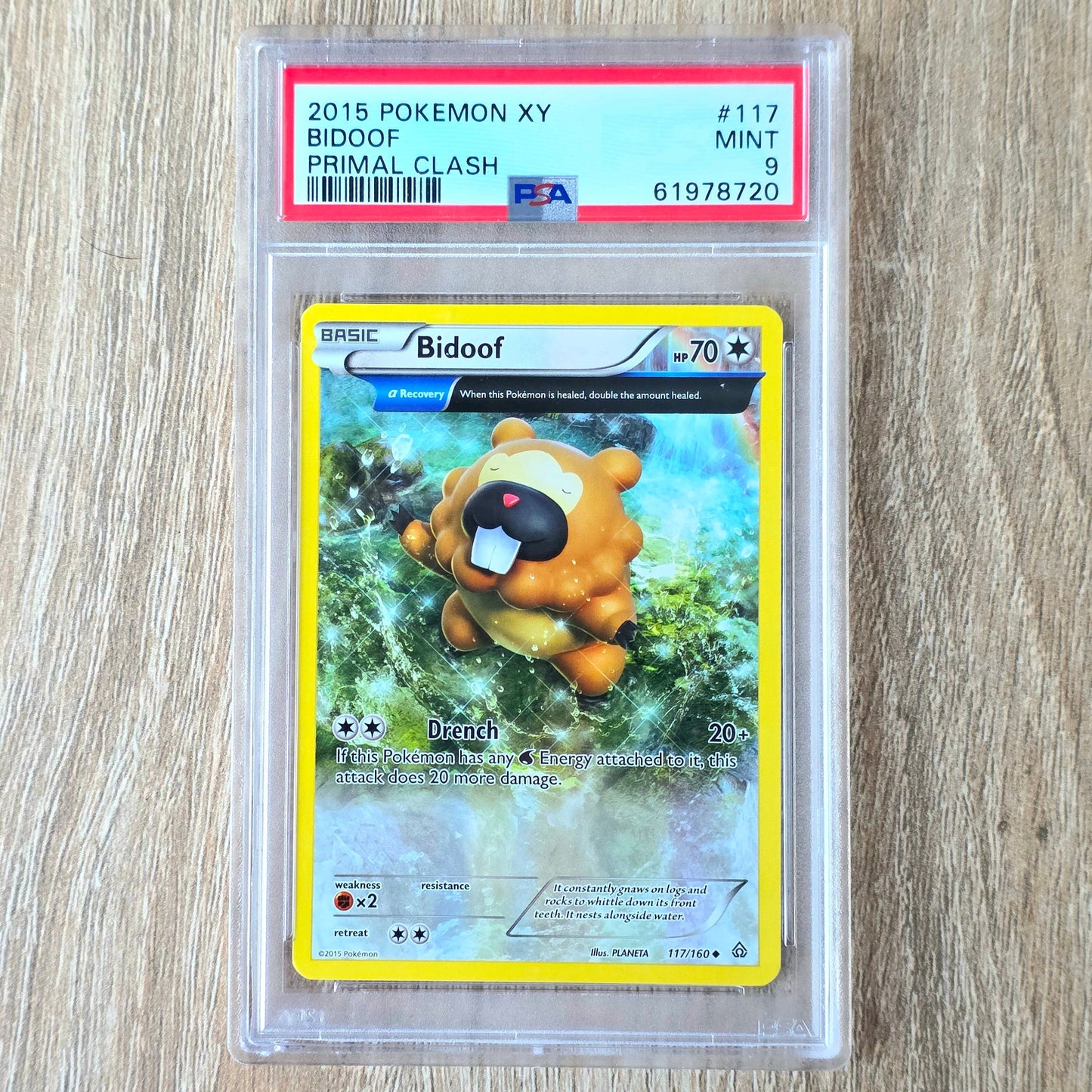 Pokemon TCG Bidoof Primal Clash 117/160 (PSA 9)