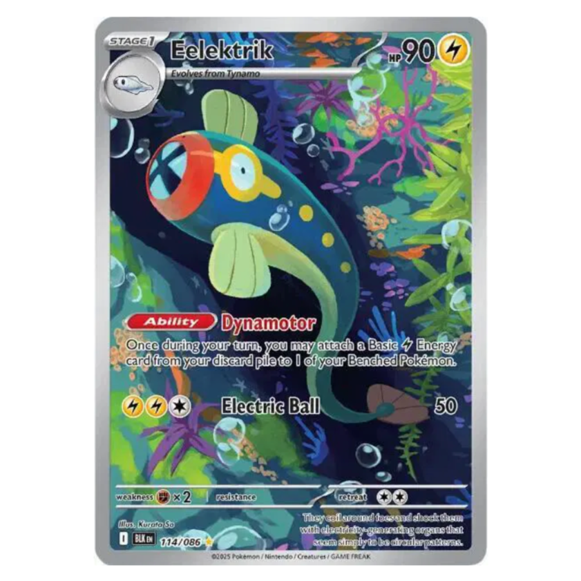 Pokemon TCG Eelektrik Black Bolt 114/086